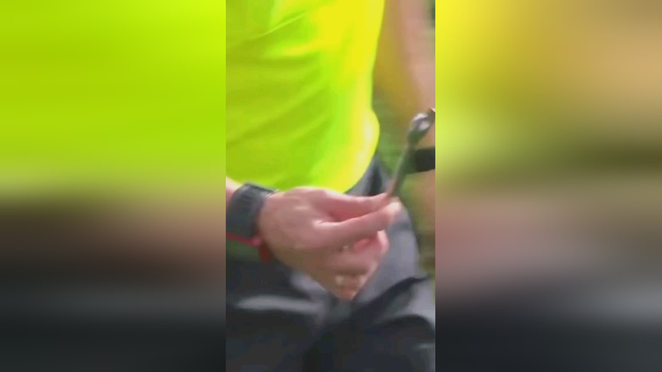 度的