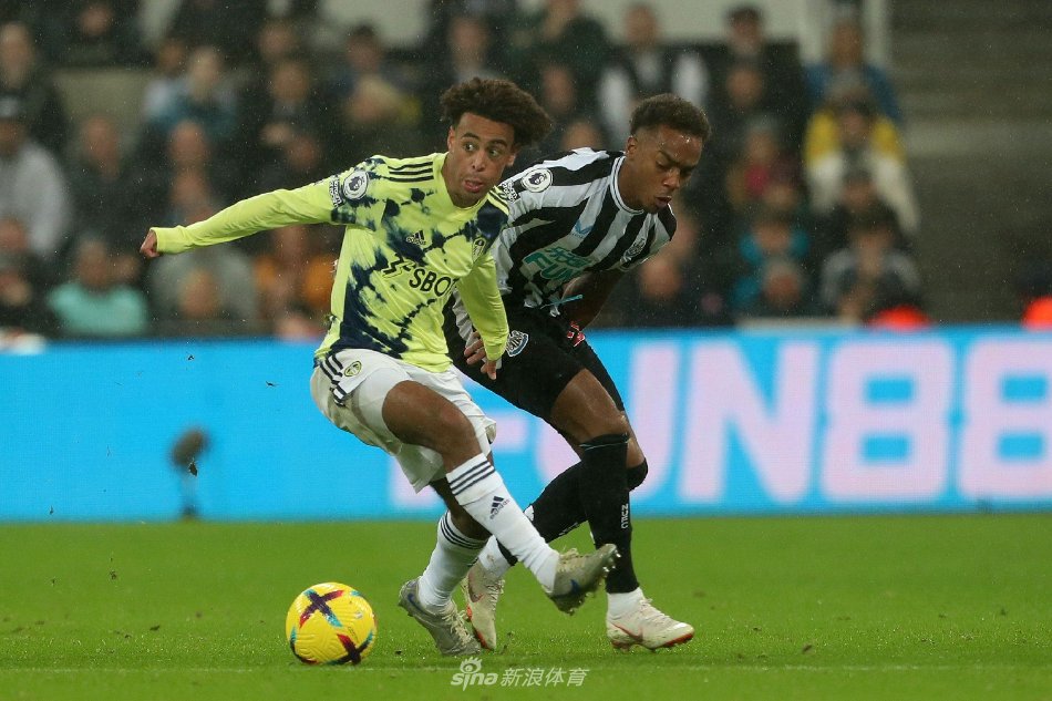 的夺冠之路 的夺冠之路